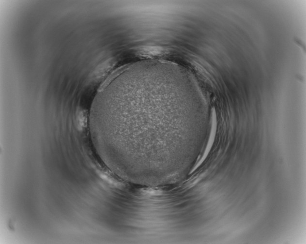 X0000096480284200802071927