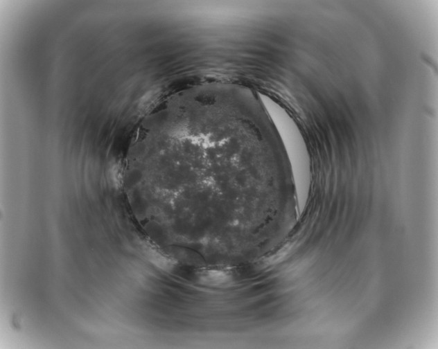 X0000096480285200802071927