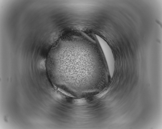 X0000096480286200802071927