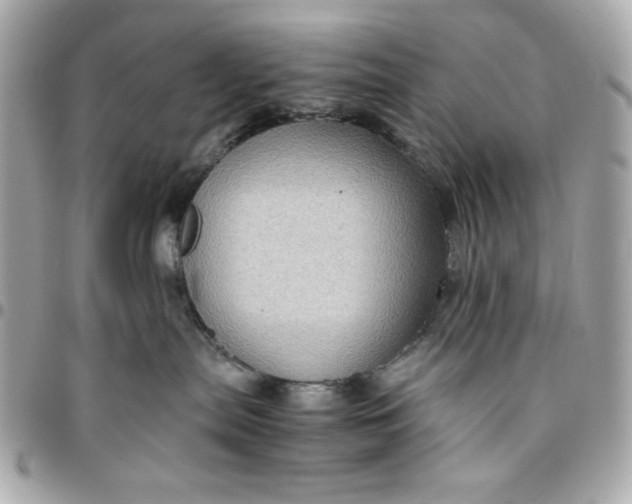 X0000096480287200802071927