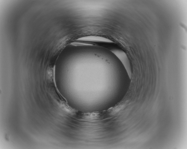 X0000096480288200802071927