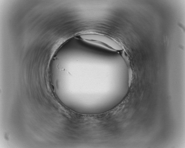 X0000096480289200802071926