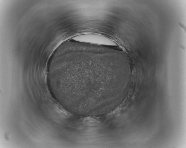 X0000096480290200802071926