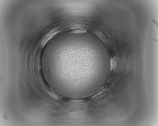 X0000096480291200802071926