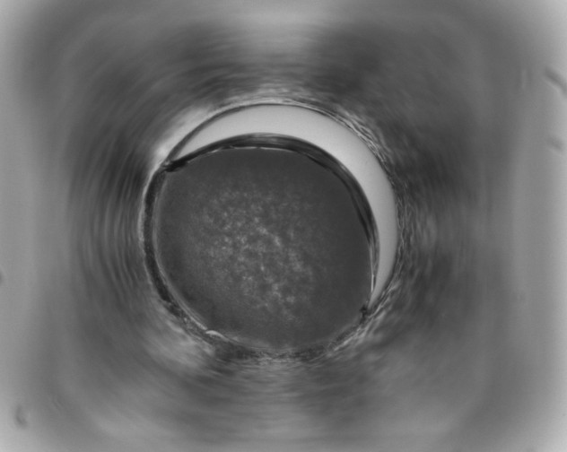 X0000096480292200802071926