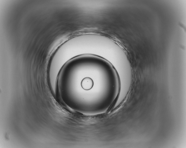 X0000096480293200802071926