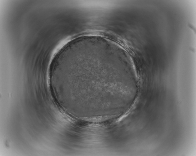 X0000096480294200802071926