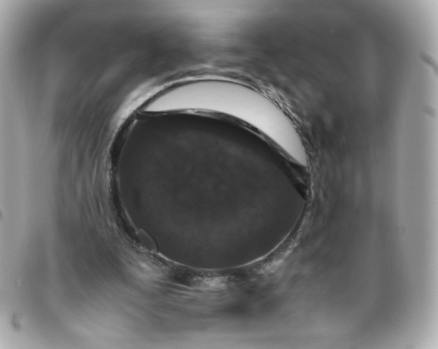 X0000096480295200802071926