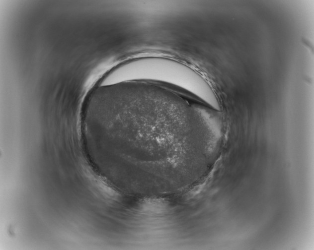 X0000096480296200802071926