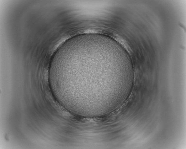 X0000096480297200802071926