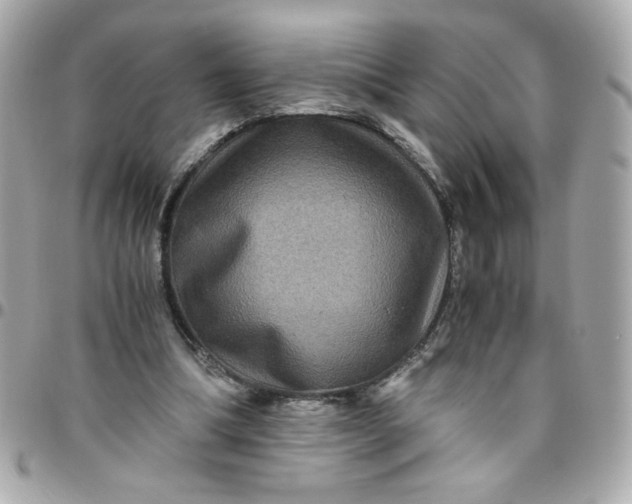 X0000096480298200802071926