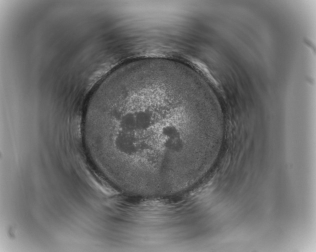 X0000096480299200802071926