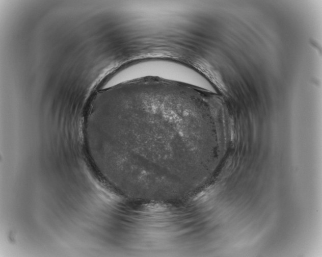 X0000096480300200802071926