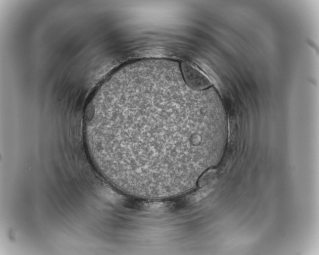 X0000096480301200802071926