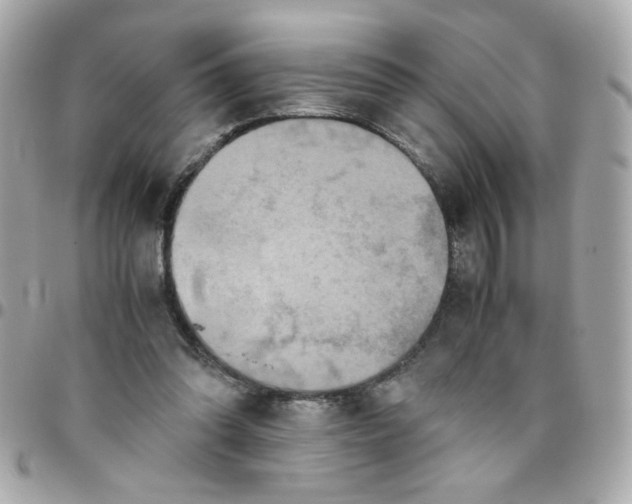 X0000096480302200802071926