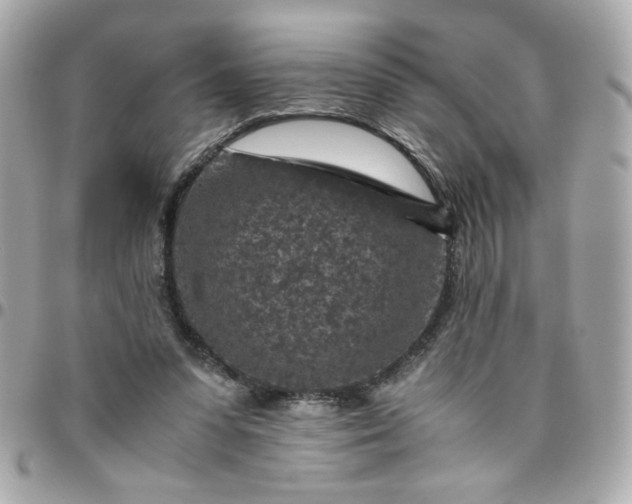 X0000096480303200802071926