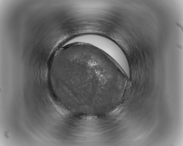 X0000096480304200802071926