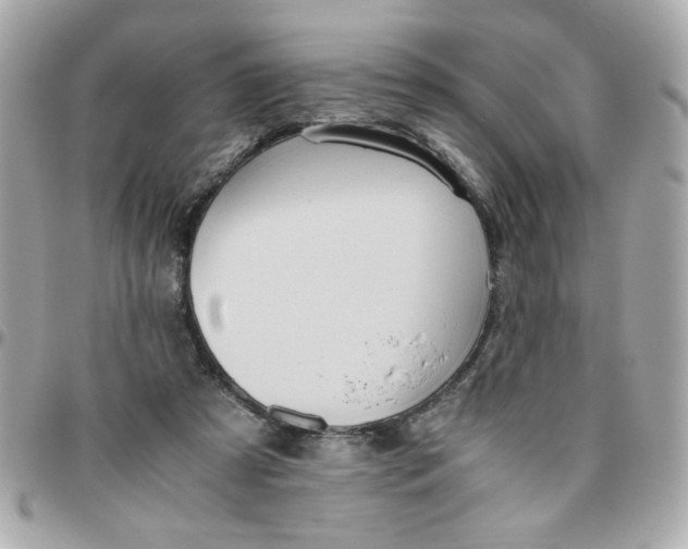 X0000096480305200802071926