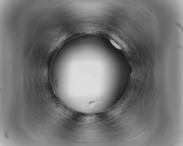 X0000096480306200802071926