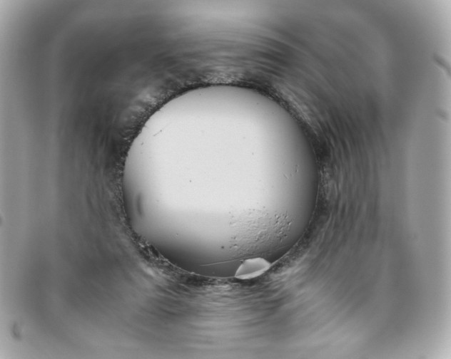 X0000096480307200802071926