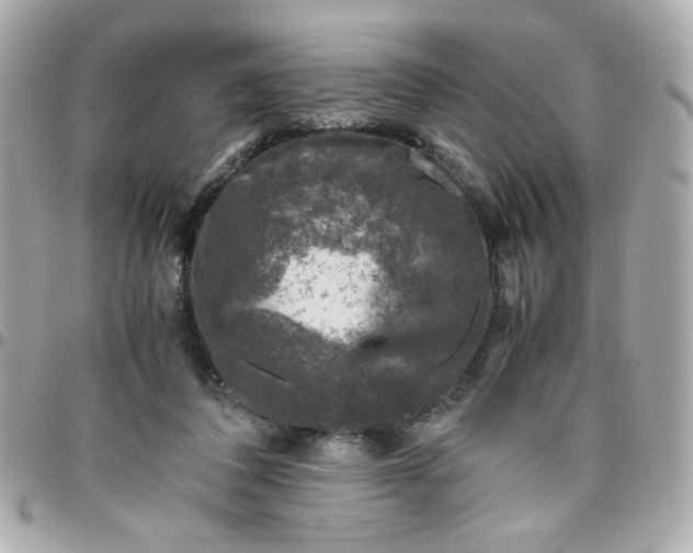 X0000096480308200802071926