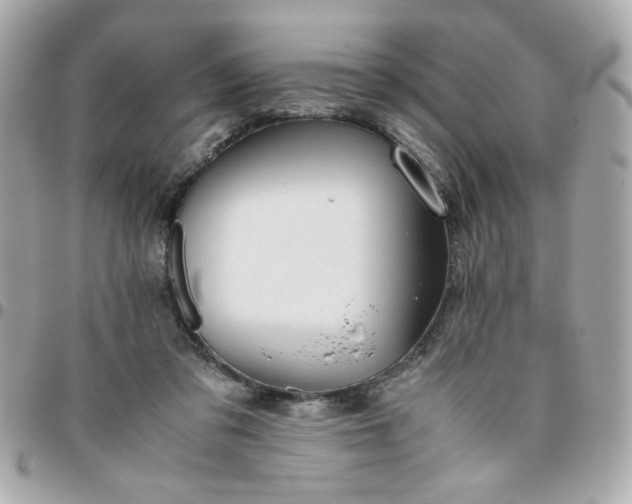 X0000096480309200802071926