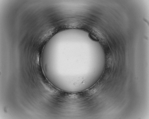 X0000096480310200802071926