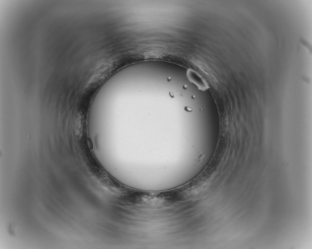 X0000096480311200802071926