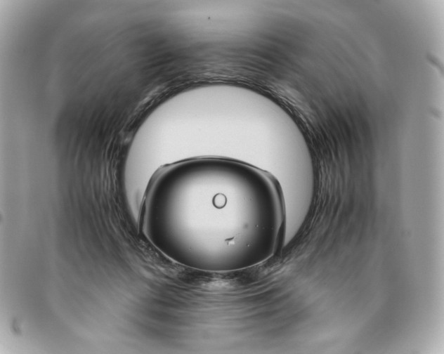 X0000096480312200802071926