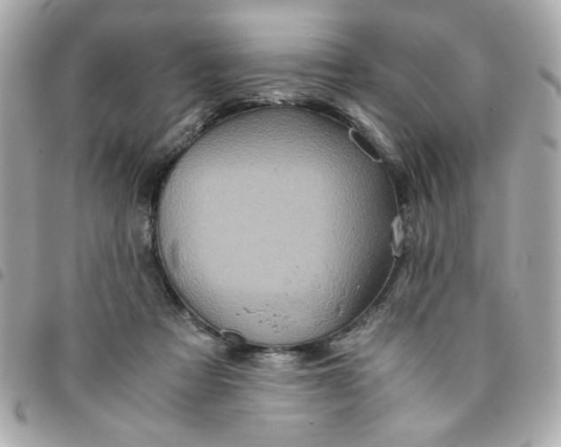 X0000096480313200802071926