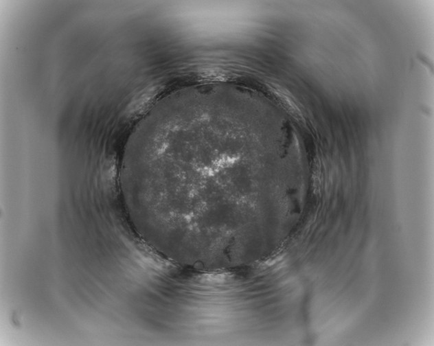 X0000096480314200802071926