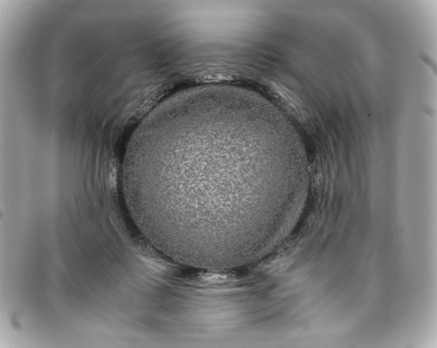 X0000096480315200802071926