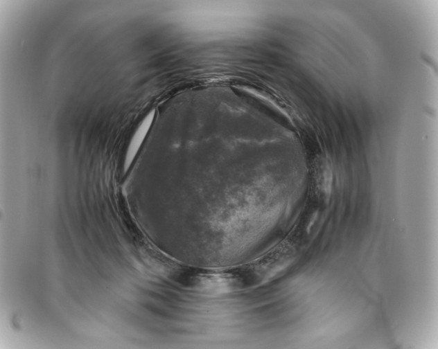 X0000096480316200802071926