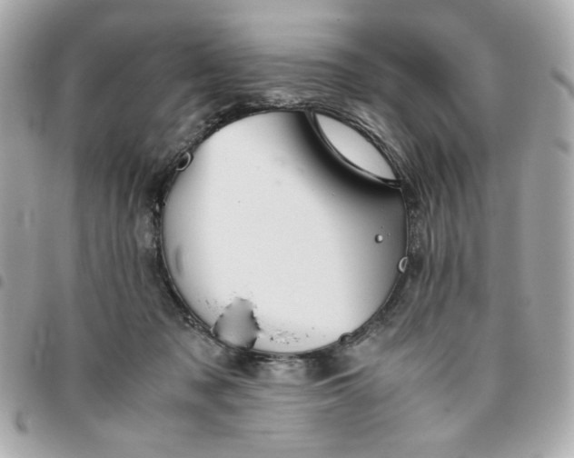 X0000096480317200802071926