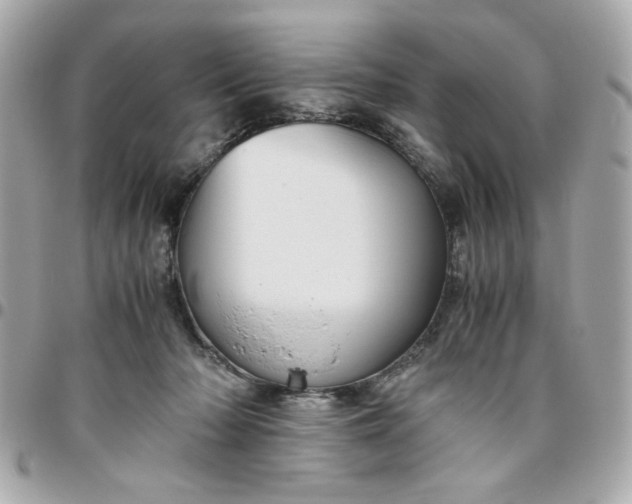 X0000096480318200802071926