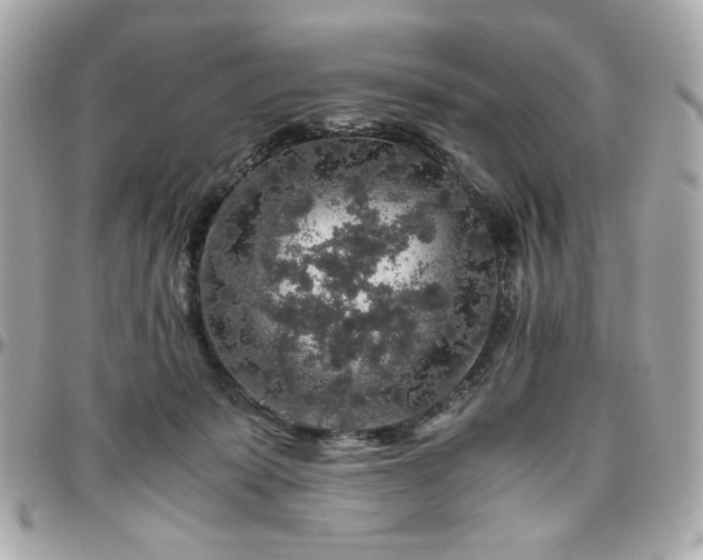 X0000096480319200802071926