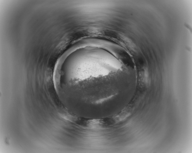 X0000096480320200802071926