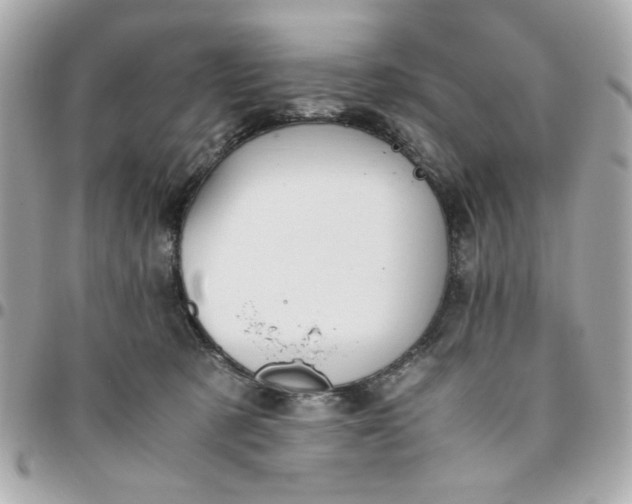 X0000096480321200802071926