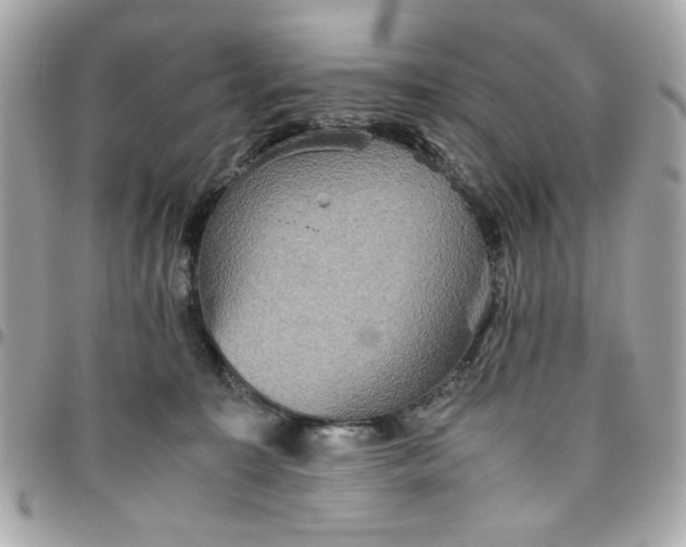 X0000096480323200802071925