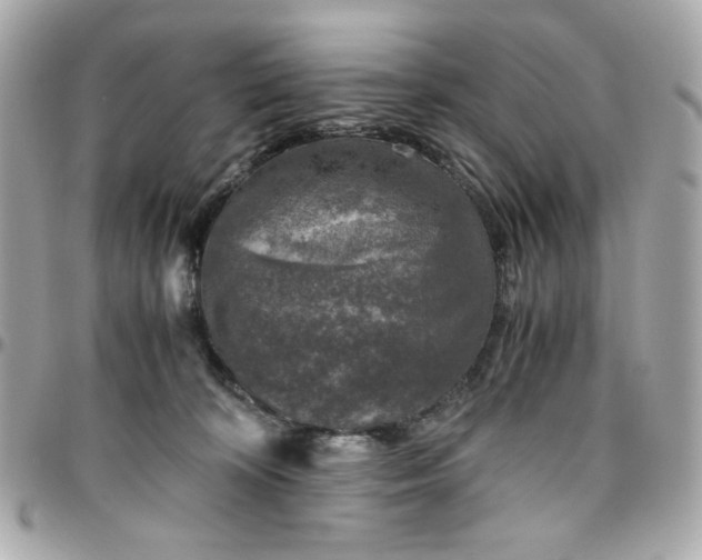 X0000096480324200802071925