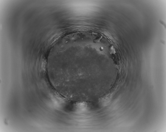 X0000096480325200802071925