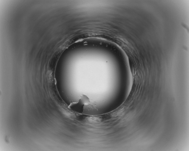 X0000096480327200802071925