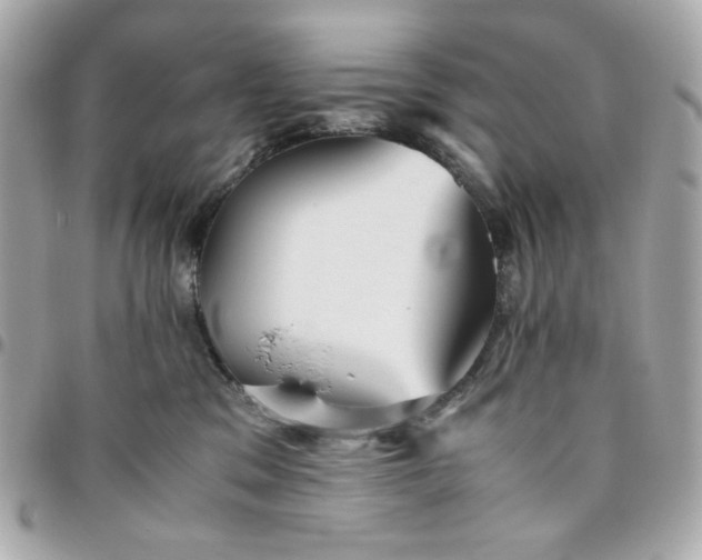 X0000096480329200802071925