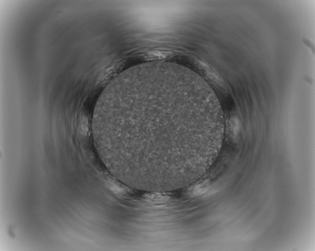 X0000096480331200802071925