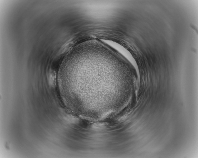 X0000096480332200802071925