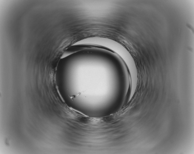 X0000096480333200802071925