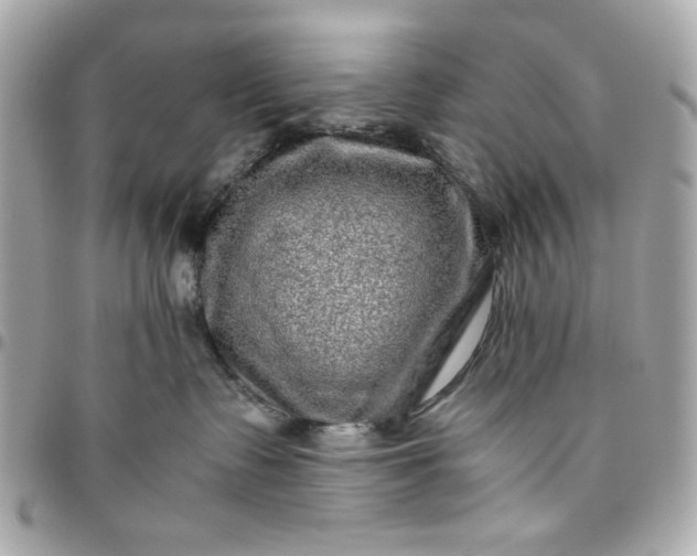 X0000096480335200802071925