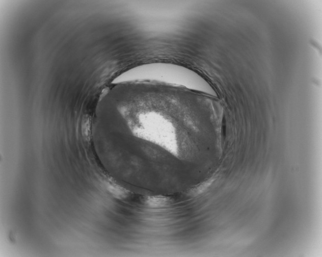 X0000096480336200802071925