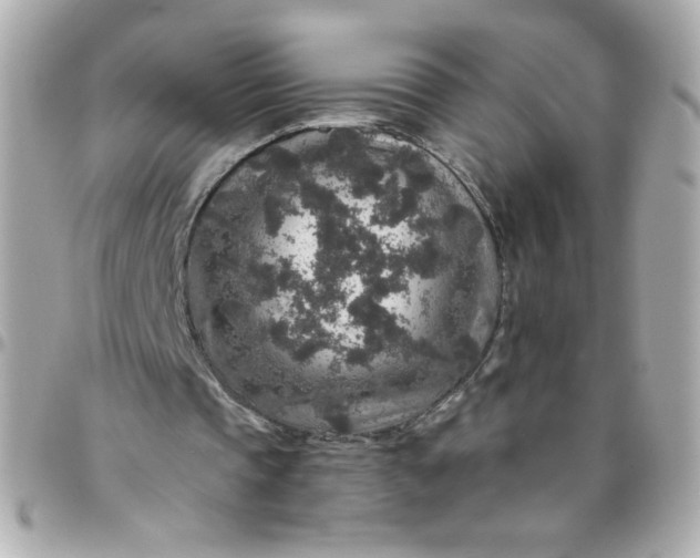 X0000096480337200802071925