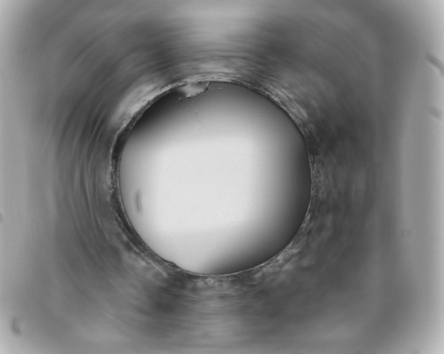 X0000096480338200802071925